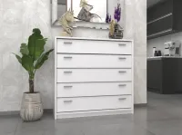 Lenyilós cipősszekrény 2 4